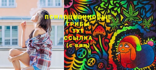 мяу мяу мука Корсаков
