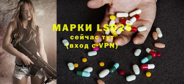 мяу мяу мука Корсаков