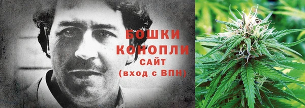 эйфоретик Коряжма
