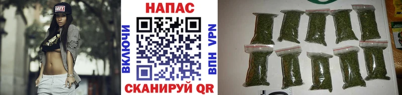 Канабис сатива  Пушкино 